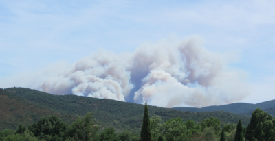 feu de forêt